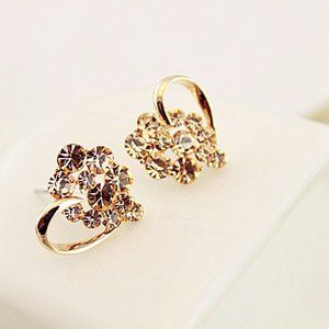 (BI) diamond earrings